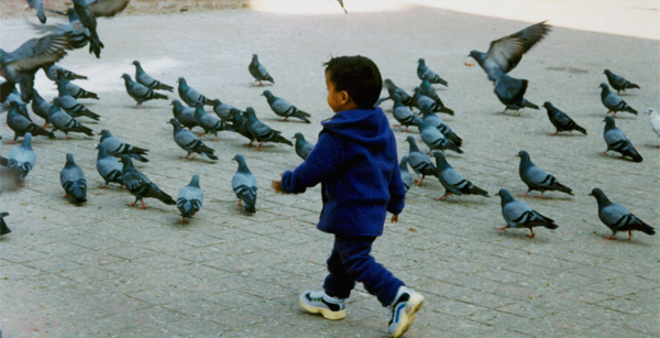 Searching for peace !