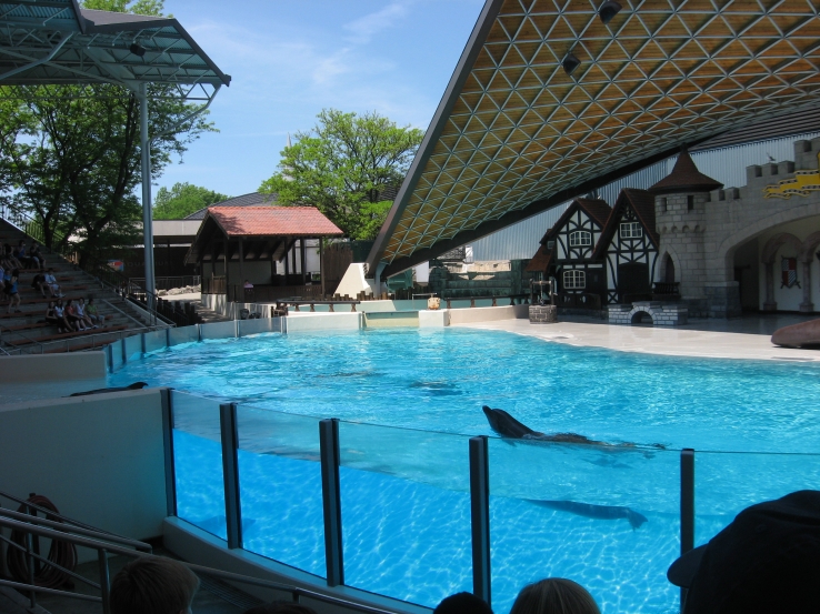 Dolphins at Marineland