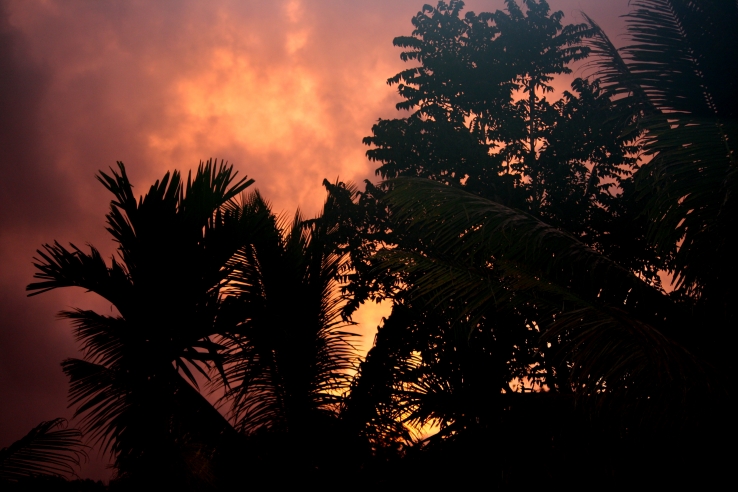 kerala,India