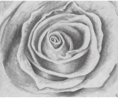 Black&White Rose