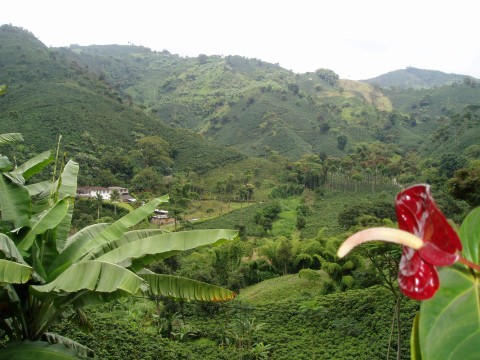 Rich Land