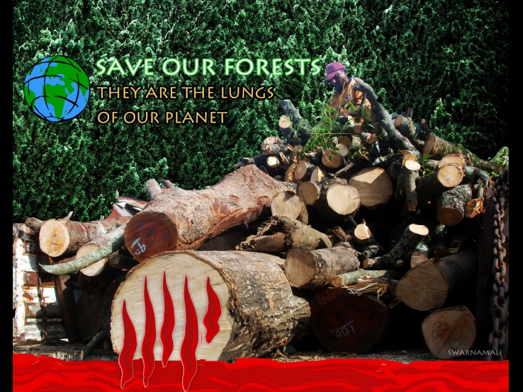 Save Our Forests