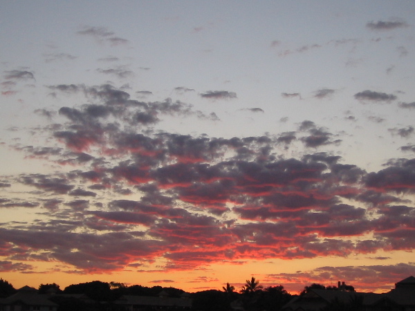 Pink sky at night