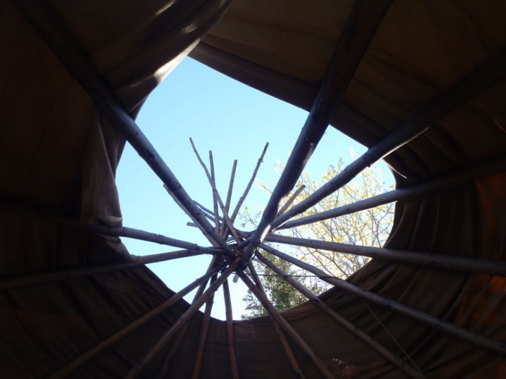 Tent Poles