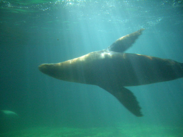 Captive Moment