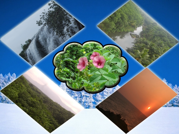 Beauty of Nature