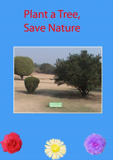Take Action - Plant a tree