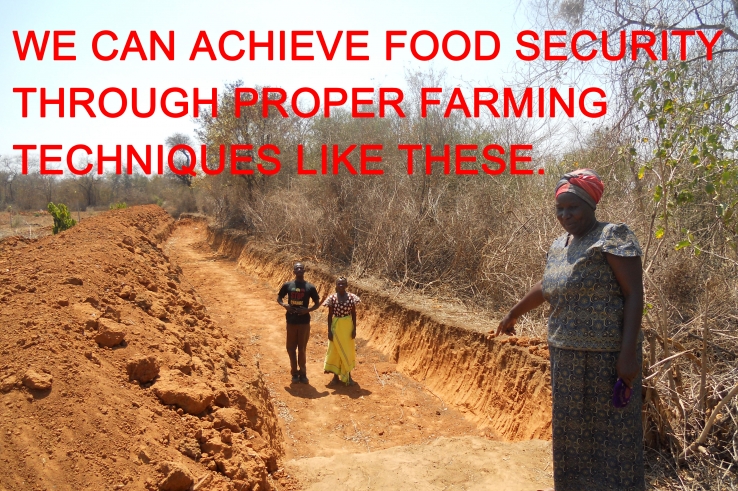 Rain water harvesting equals food security