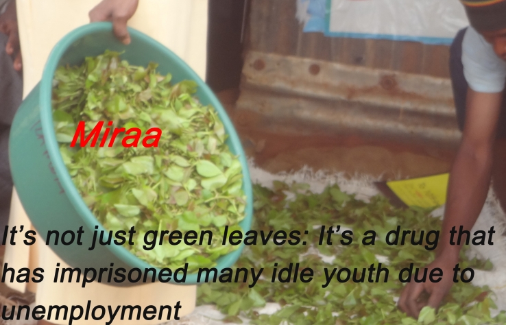 Youth Unemployment Crisis