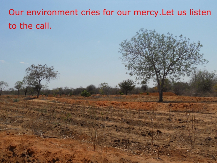 Our Environment cries for our mercy