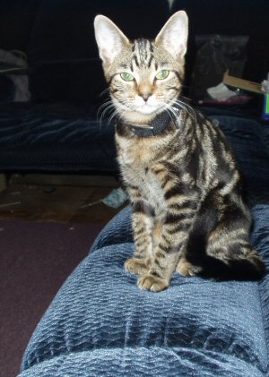 Posing for the Camera