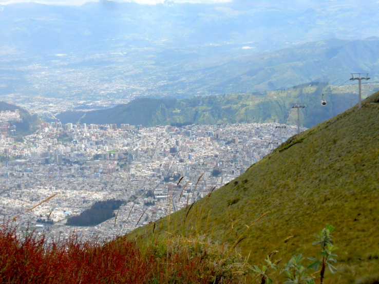 Growing City