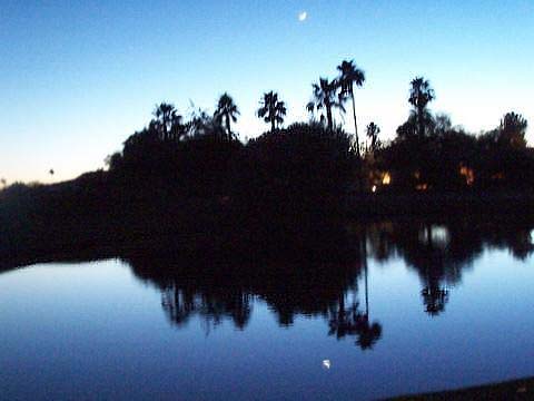 Silence Reflected