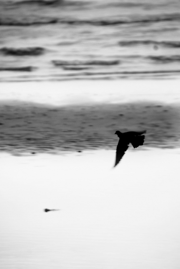 Just by the wind
