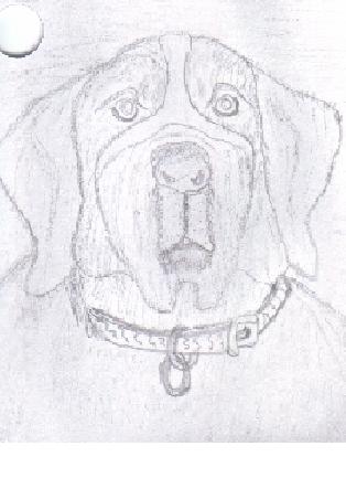 Sad Dog