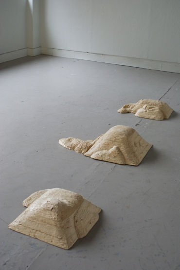 Autonomous landscape