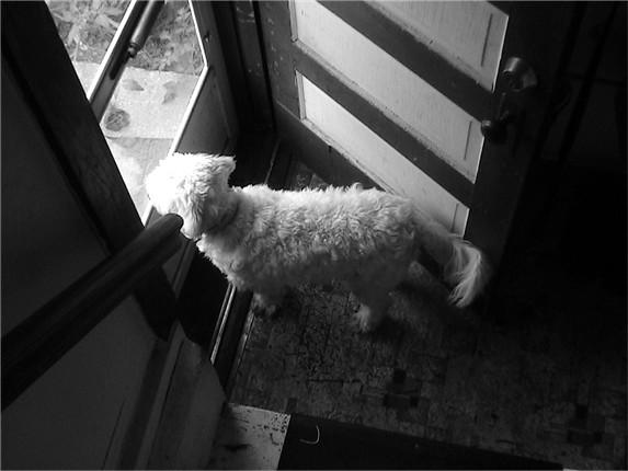 Always on the other side