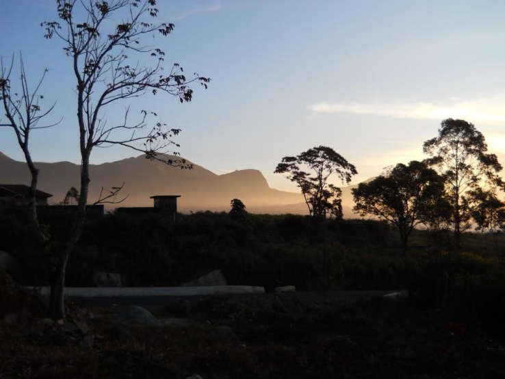 Morning