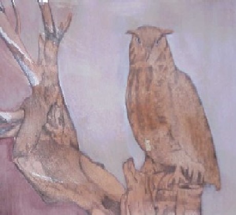 The Owl
