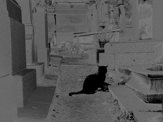 Chat Noir (Pere Lachaise)