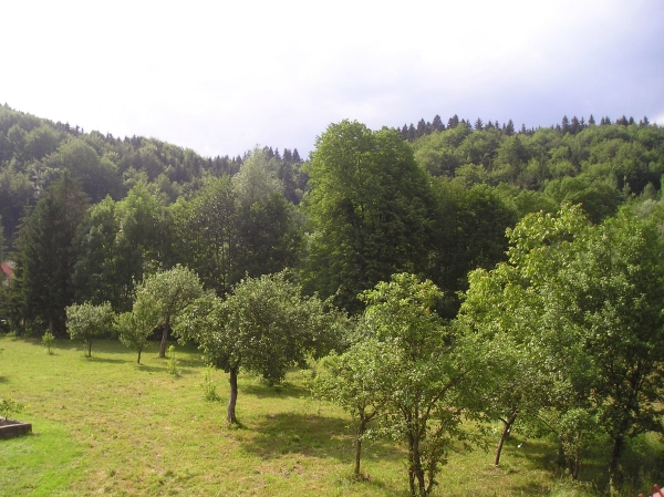 my green view