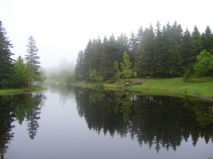 June Exhibit- Calm Waters