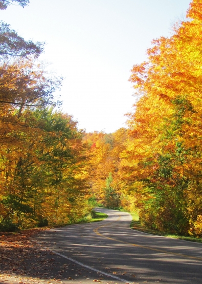 Autumn Fire