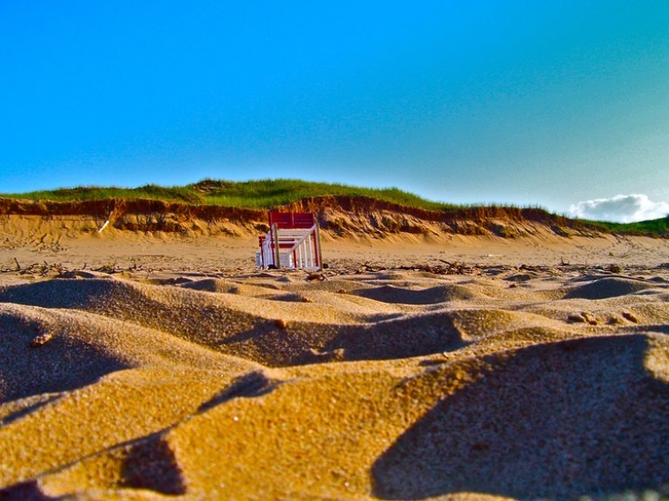 June Exhibit - Bright Brackley Beach