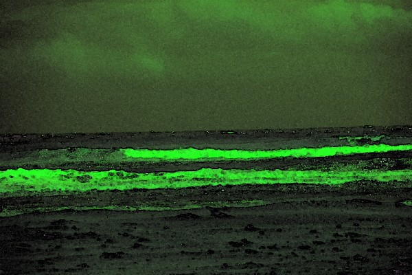 toxic