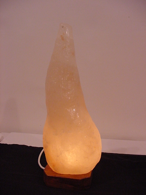 Early days of conception