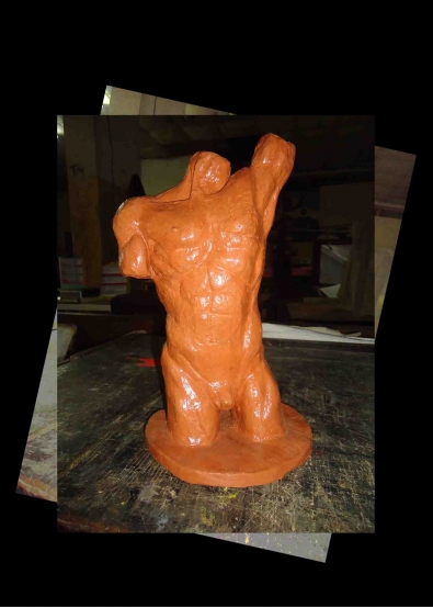 TORSO