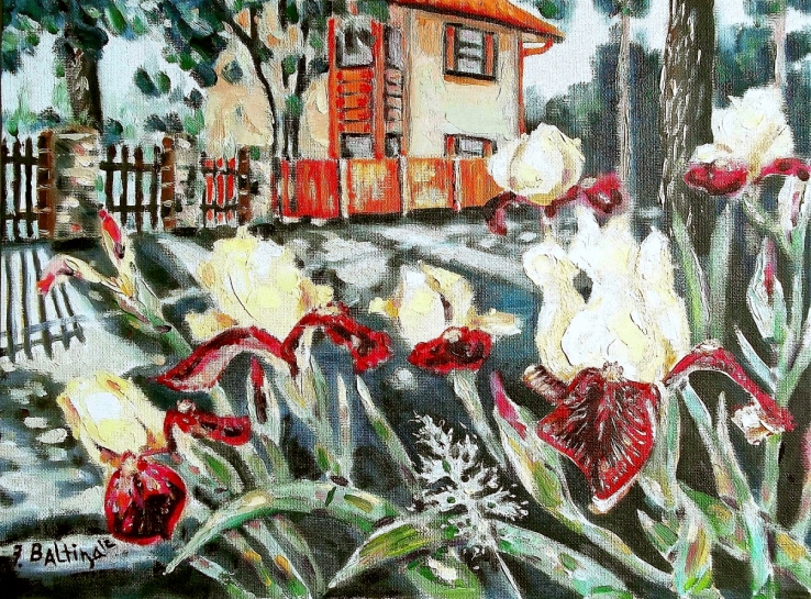 Ирисовая улица (30х40) Iris Street