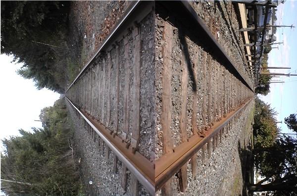 Perspective: Tracks