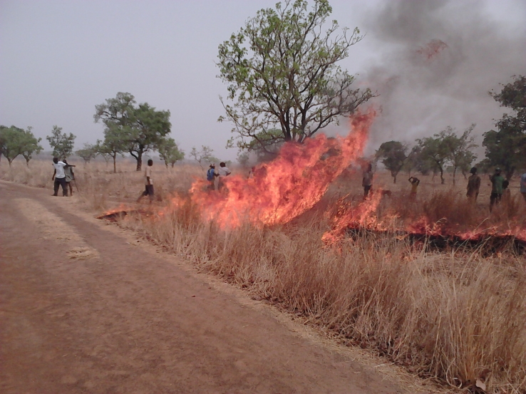 Bushfire Control