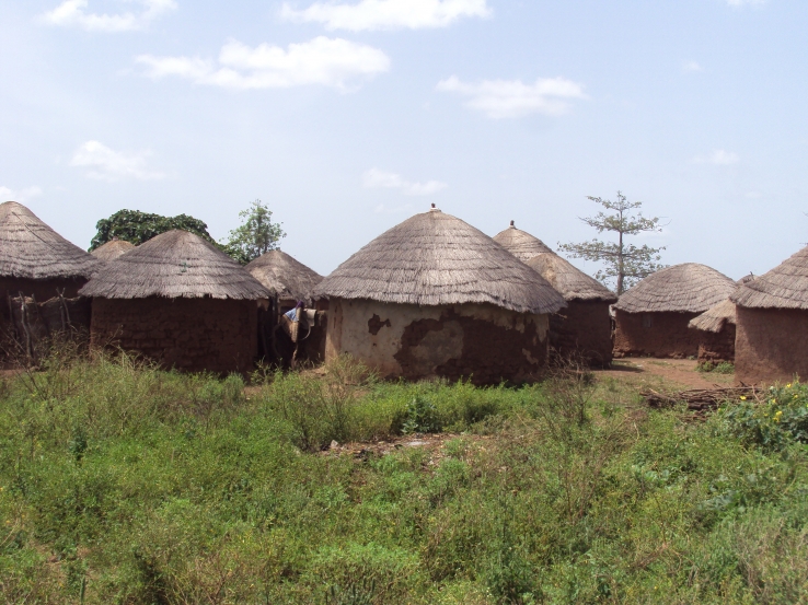 Traditional Huts