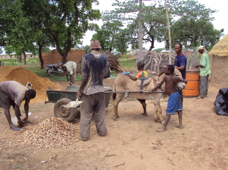 Donkey & Cart