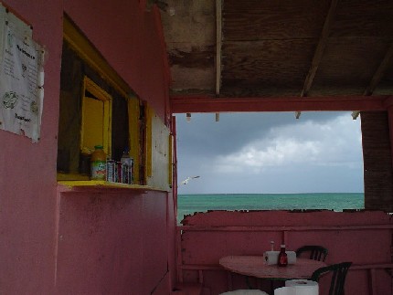 Through a Pink Window
