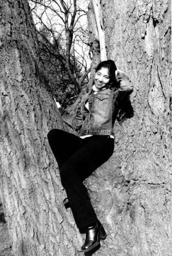 Up in a Tree