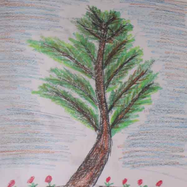 the lonesome tree