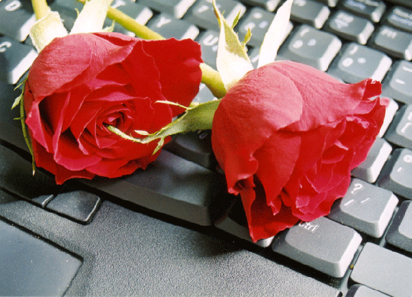 Flower 3