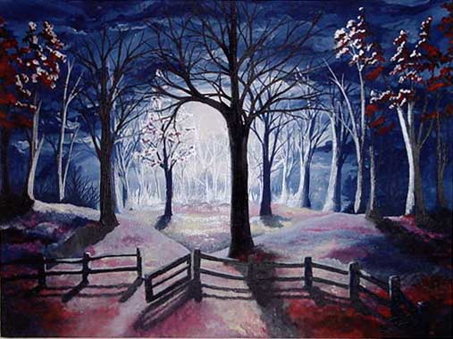Into the Moonlit Forest