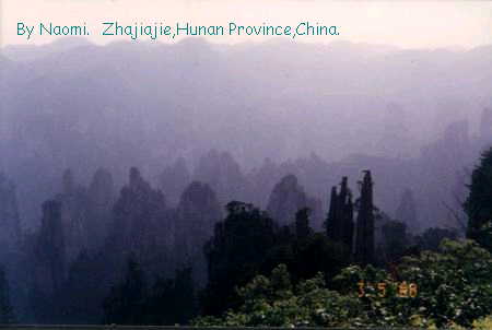 Scenery--Zhanjiajie,Hunan province,China.