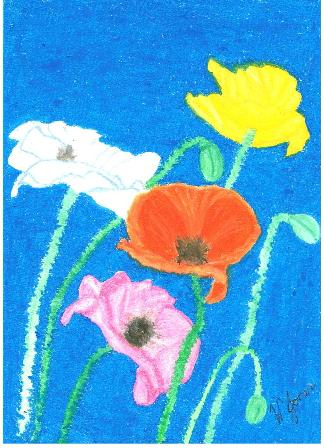 Poppies