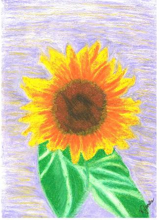 smiley face sunflower