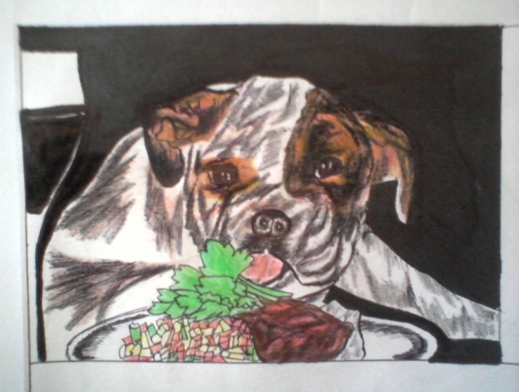Bull Dog