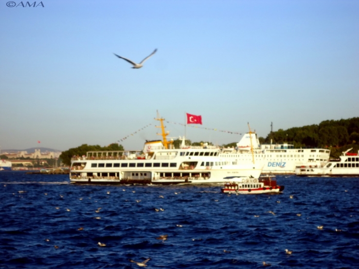 AMA, Marmara Sea, Istanbul