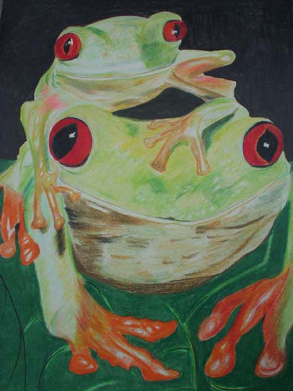 Froggyback Ride