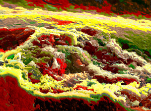 Landscape 1