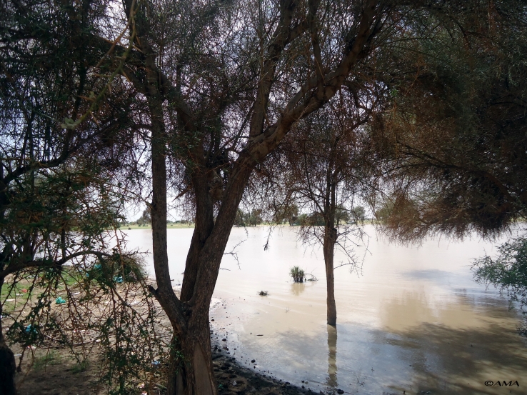 Nature 9