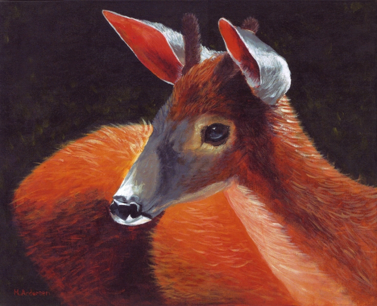 Stuey - Miranda Andresen